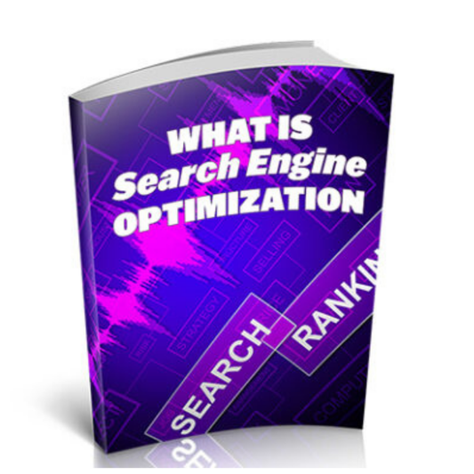 What Is Search Engine Optimization